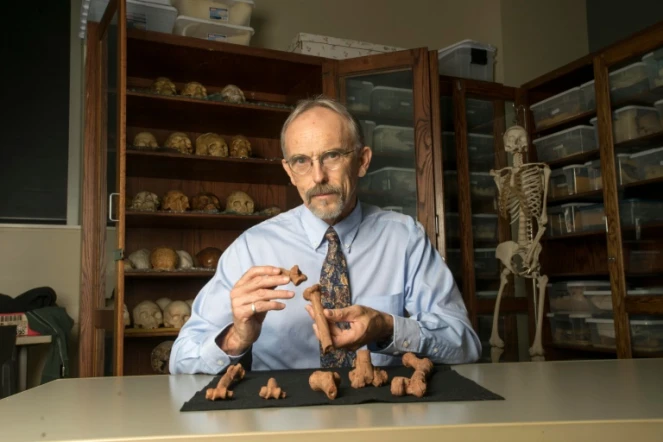 Portrait du professeur John Kappelman tenant une reproduction 3D du squelette de Lucy