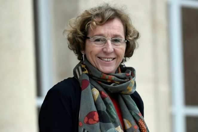 La ministre du Travail Muriel Pénicaud quitte l'Elysée après un conseil des ministres, le 12 janvier 2018