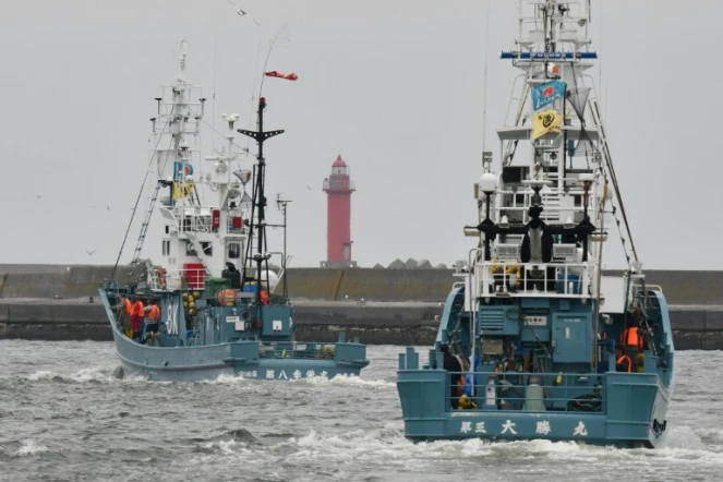Des navires baleiniers quittent le port de Kushiro pour la reprise de la chasse commerciale de la baleine, le 1er juillet 2019 au Japon 