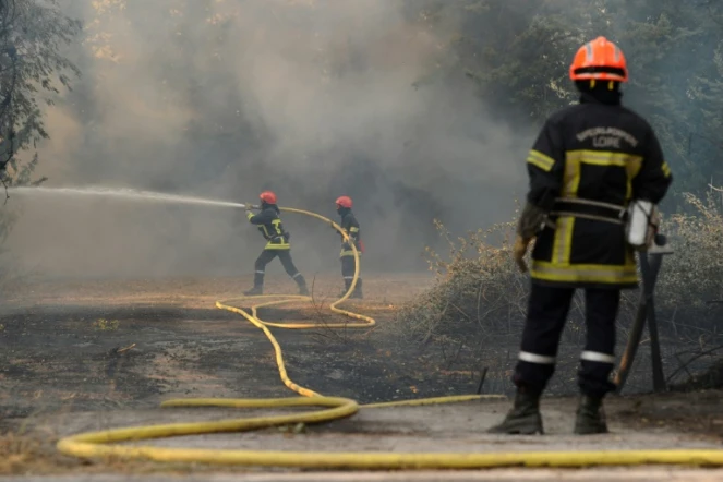 Des pompiers en plein travail à Saint-Cannat, près d'Aix-en-Provence dans les Bouches-du-Rhône, le 15 juillet 2017