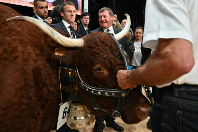 Le président Emmanuel Macron s'entretient avec des éleveurs bovins lors de sa visite au "Sommet de l'Elevage" à Cournon-d'Auvergne près de Clermont-Ferrand (Centre), le 4 octobre 2019