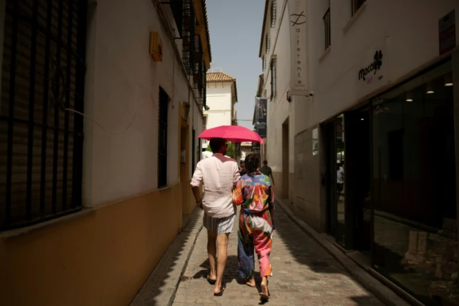 Les touristes se protègent du soleil lors d'une vague de chaleur à Cordoue à Cordoue, dans le sud de l'Espagne, le 8 août 2023