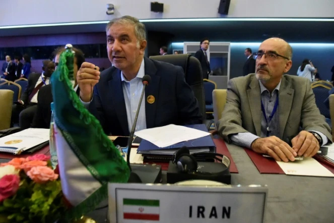 Le représentant de l'Iran à l'Opep, Hossein Kazempour Ardebili (G), au cours d'une réunion de pays producteurs de pétrole à Alger le 23 septembre 2018