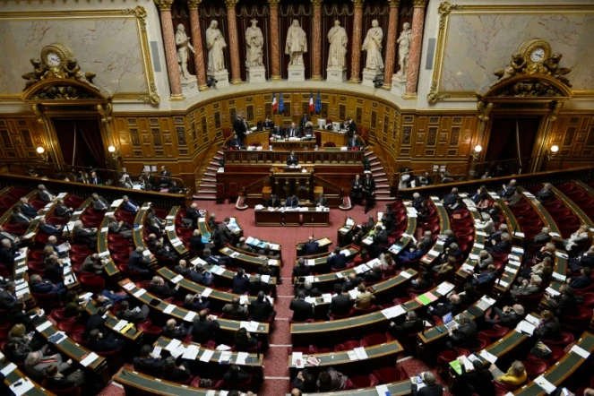 Le Sénat lors d'un débat sur l'état d'urgence le 20 novembre 2015 à Paris