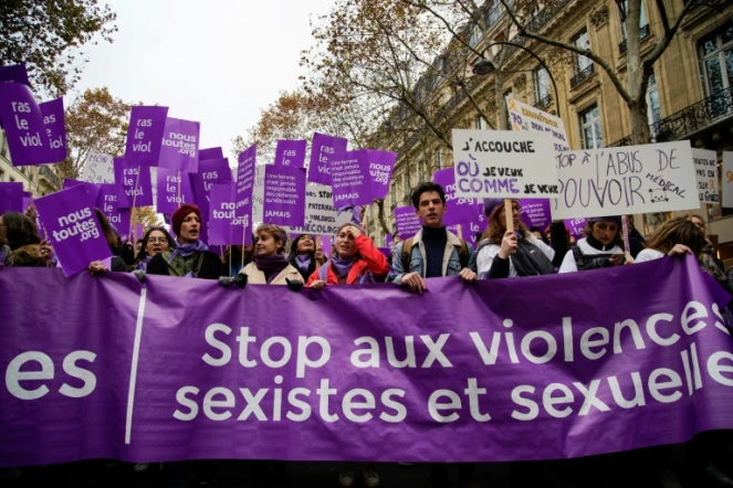 Manifestation contre les violences sexistes et sexuelles à Paris, le 24 novembre 2018