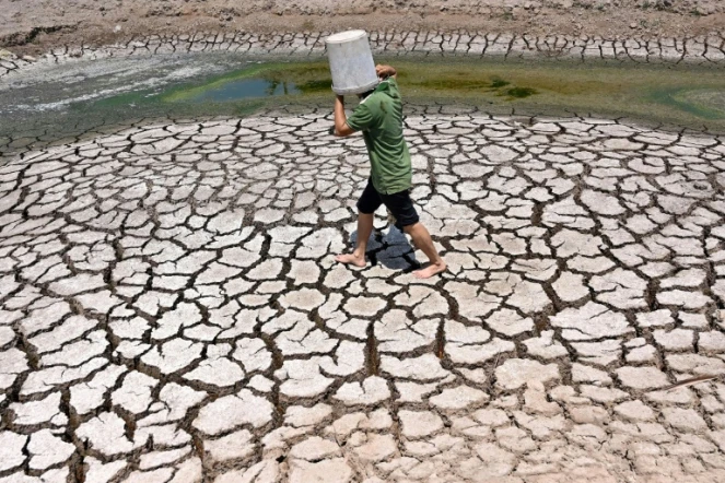 Avec un nouveau record de température en mars, les douze derniers mois ont été les plus chauds jamais enregistrés dans le monde, 1,58°C de plus que dans le climat de la planète au XIXe siècle