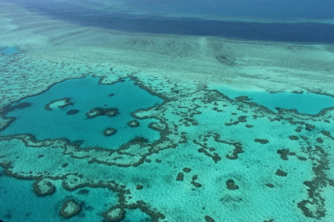 Vue aérienne de la Grande barrière de corail, en Australie, le 20 novembre 2014 