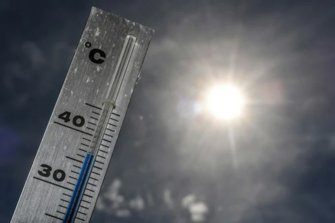 Près de Lille, le thermomètre affiche 37 degrés le 24 juin 2019