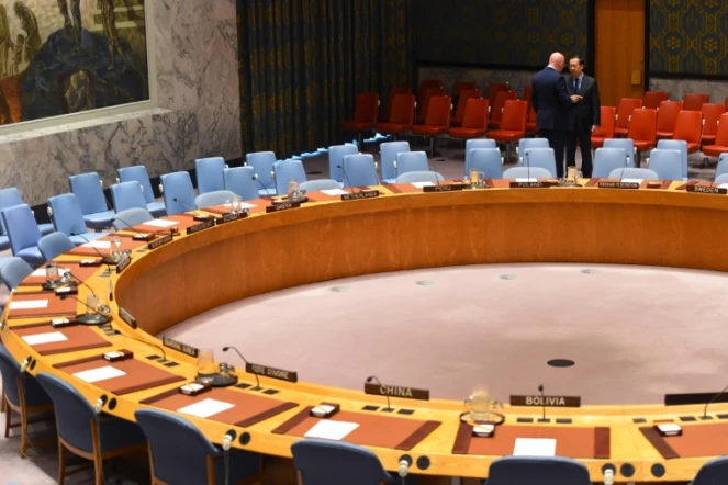 L'ambassadeur russe Vassily Nebenzia (G) et l'ambassadeur chinois MA Zhaoxu aux Nations Unies le 23 février 2018 avant un réunion du conseil de sécurité