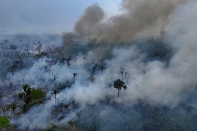 Incendie de forêt volontaire près de Labrea, en Amazonie brésilienne, le 4 septembre 2024