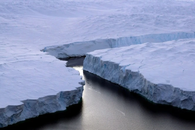 Un iceberg se détache de la Côte de Knox, en Antarctique, en janvier 2008