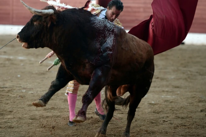 Le matador Ivan Fandiño, le 17 juin 2017 à Aire-sur-l'Adour