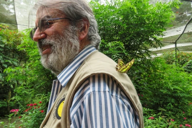 Le botaniste Alberto Gomez dans son jardin botanique à Quindio, le 6 juillet 2020