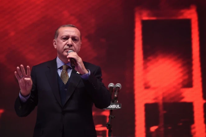 Le président turc Recep Tayyip Erdogan prononce un discours lors d'un rassemblement pour le "oui" au référendum constitutionnel turc, à Istanbul, le 12 avril 2017