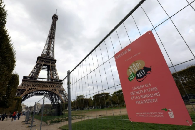 Campagne contre la prolifération des rats autour de la Tour Eiffel, à Paris, le 29 septembre 2017