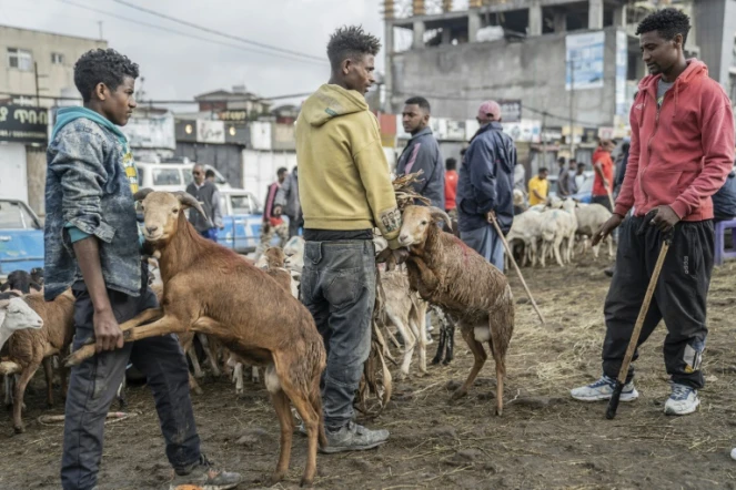 De jeunes bergers vendent leur bétail sur un marché d'Addis Abeba pendant Enkutatash, la fête du nouvel an éthiopien, le 11 septembre 2022