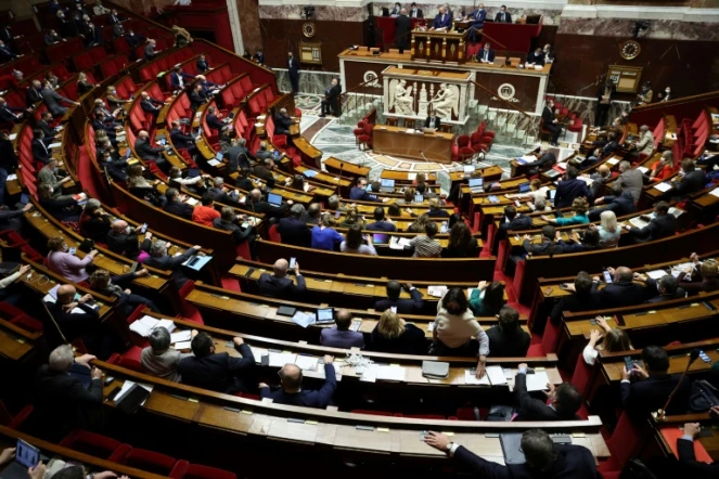 Un vote des députés à l'Assemblée nationale, au Palais Bourbon à Paris, le 16 janvier 2022