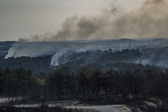 Un incendie ravage le parc national de Dadia, en Grèce, le 25 juillet 2023
