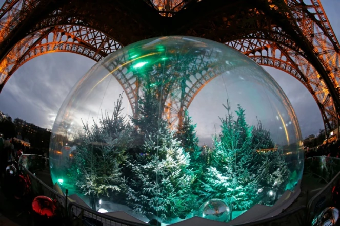 Des sapins sous la Tour Eiffel à Paris le 20 décembre 2014