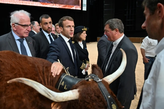 Emmanuel Macron avec des éleveurs le 4 octobre 2019 au "Sommet de l'élevage" à Cournon-d'Auvergne près de Clermont-Ferrand 