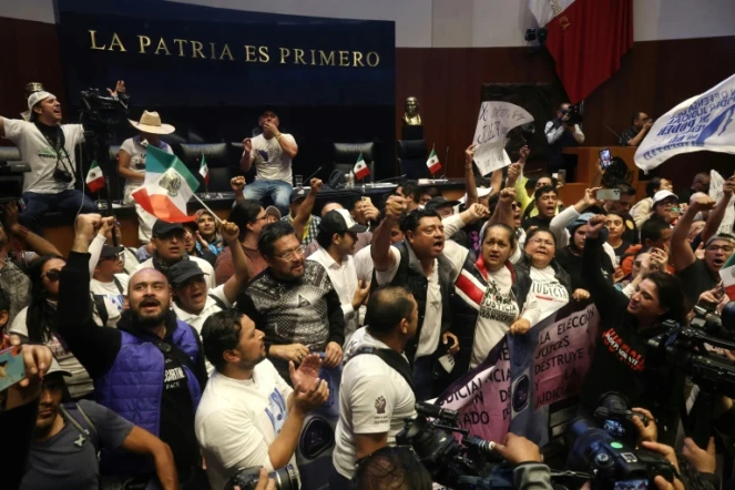 Des manifestants opposés à un projet de réforme de la justice envahissent le Sénat mexicain, le 10 septembre 2024