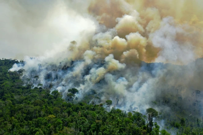Une vue aérienne d'un feu de forêt en Amazonie brésilienne au sud de Novo Progresso au Brésil, le août 2020