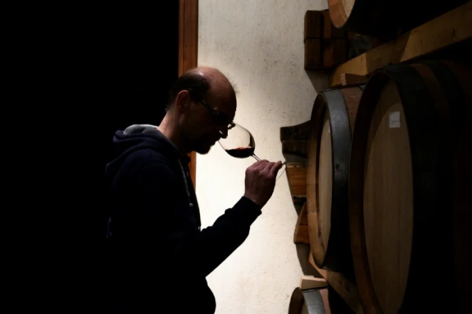 Stefano Cagliero, propriétaire du domaine viticole de Cagliero, le 23 avril 2020 à Barolo, dans le nord-ouest de l'Italie