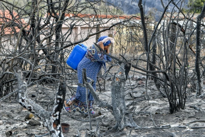 Une femme portant un jerrycan marche entre des arbres calcinés par un incendie, près de Melloula, dans le nord-ouest de la Tunisie, le 26 juillet 2023