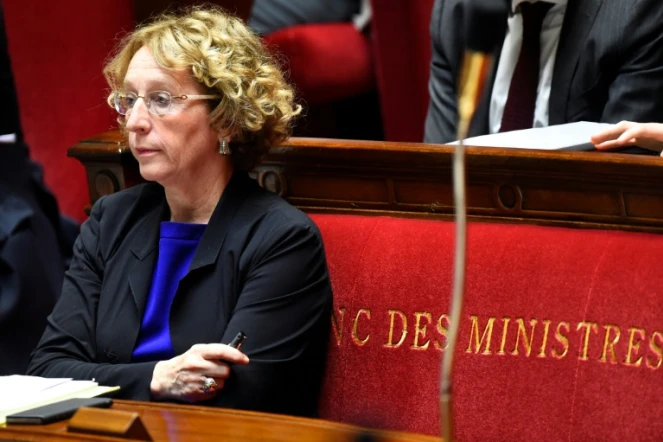 La ministre du Travail Muriel Pénicaud, le 10 juillet 2017 à l'Assemblée nationale