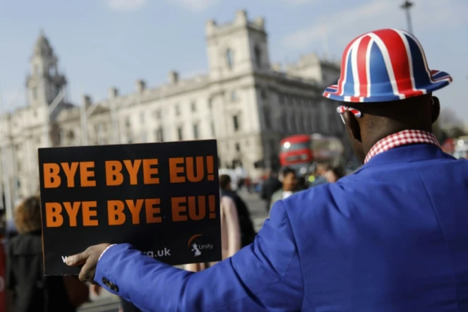 Un militant pro-Brexit manifeste devant le Parlement à Londres, le 28 mars 2019