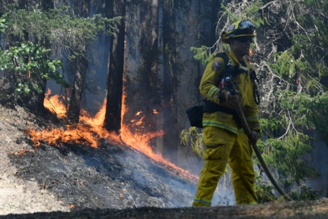 Des pompiers luttent contre l'incendie "Carr", à Douglas City (Californie) le 30 juillet 2018