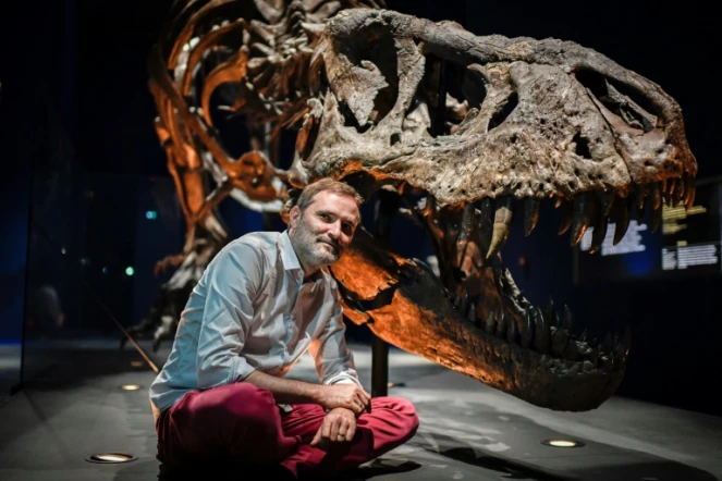 Le paléontologue français Ronan Allain pose devant le squelette d'un Tyrannosaurus Rex, le 1er juin 2018 au Muséum d'histoire naturelle de Paris, avant l'exposition "un T.Rex à Paris" du 6 juin au 2 septembre