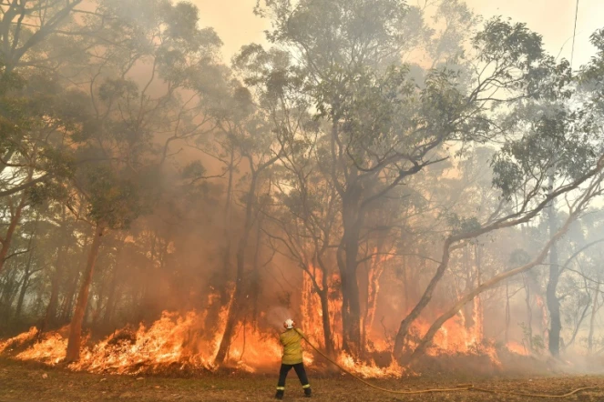 Un pompier luttant contre les incendies au nord de Sydney, le 10 décembre 2019