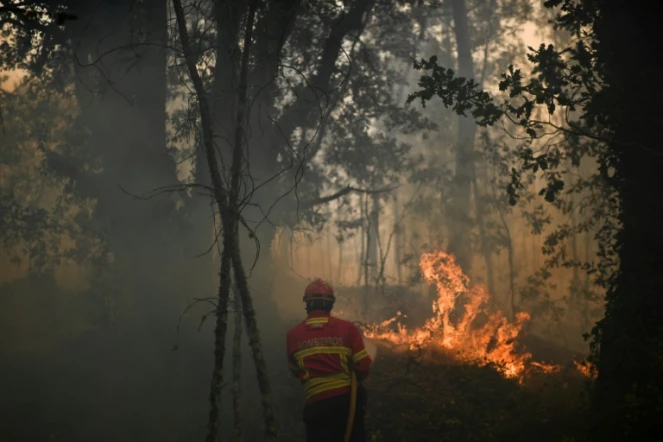 Un pompier combat le feu près du village de Torgal au Portugal, le 18 juin 2017