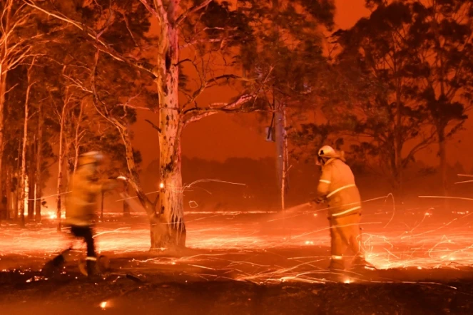 Des pompiers arrosent des troncs d'arbres pour lutter contre le feu dans la ville de Nowra en Nouvelle-Galles du Sud, le 31 décembre 2019