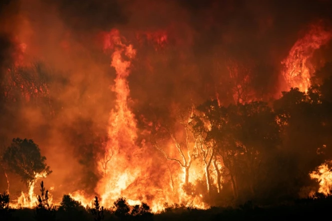 Un feu de forêt dans la région de Chefchaouen, le 15 août 2021 dans le nord du Maroc