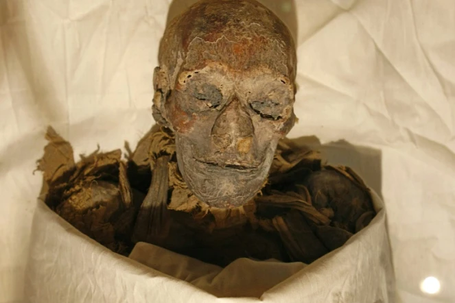 Photo prise le 27 juin 2007 de la momie de la reine Hatchepsout, qui régna sur l'Egypte entre 1479 et 1458 avant J.C, le plus long règne d'une femme pharaon, au musée du Caire