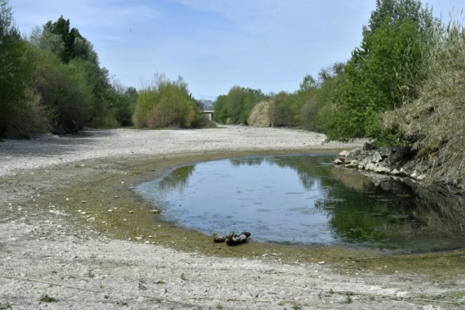 Le lit de l'Agly quasiment à sec à Rivesaltes, dans les Pyrénées-Orientales, le 27 avril 2023