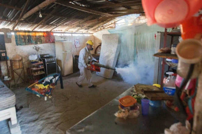 Un agent sanitaire procède à la fumigation d'une maison contre le moustique Aedes Aegytpi, vecteur du virus Zika, le 2 février 2016 à Acapulco, au Mexique