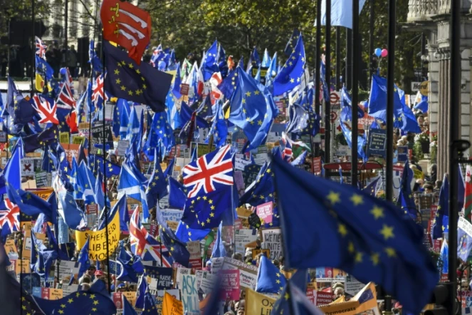 Des manifestants agitent des drapeaux britanniques et européens, le 19 octobre 2019 à Londres