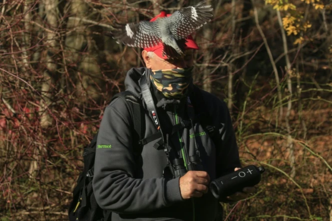 Le guide ornithologique Robert DeCandido avec un pivert sur sa casquette à Central Park, le 29 novembre 2020