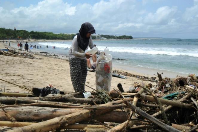 Une femme collecte des déchets plastiques sur une plage, le 9 décembre 2018 à Bali