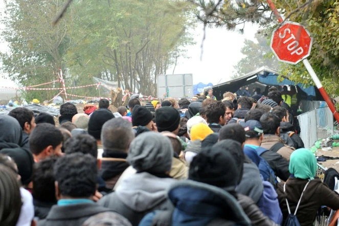 Migrants et réfugiés passent la frontière entre la Serbie et la Croatie le 26 octobre 2015 à Berkasovo