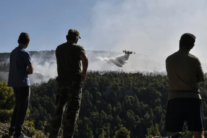 Des habitants regardent un Canadair larguer de l'eau près du village de Kontodespoti sur l'île d'Eubée, au nord-est d'Athènes, le 14 août 2019