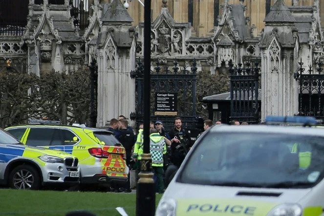 Des policiers et des ambulanciers devant l'entrée du Parlement britannique, le 22 mars 2017