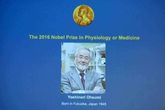 Une photo du Prix Nobel de médecine Yoshinori Ohsumi sur un écran à Stockholm, le 3 octobre 2016