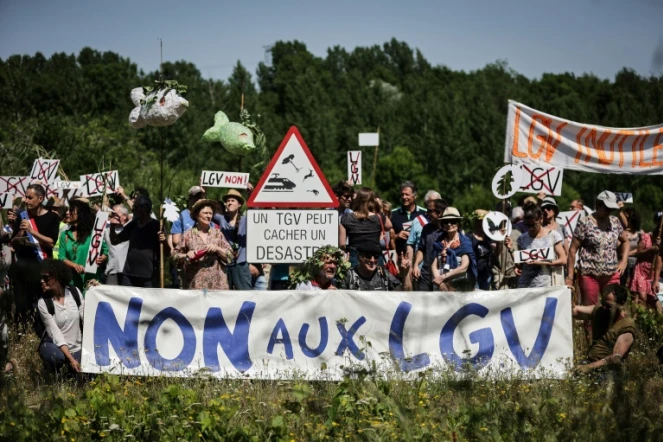 Rassemblement contre la construction de la ligne ferroviaire à grande vitesse (LGV) entre Bordeaux et Toulouse, près d'Ayguemorte-les-Graves (Gironde), le 3 juin 2023