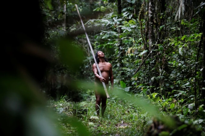 Un indigène du village de Bameno, sur les rives de la rivière Cononaco, en Amazonie (nord-est de l'Equateur), dans la réserve naturelle de Yasuni, le 29 juillet 2023. Ces villageois s'opposent à l'exploitation pétrolière par l'entreprise publique Petroecuador dans cette réserve unique de biodiversité.