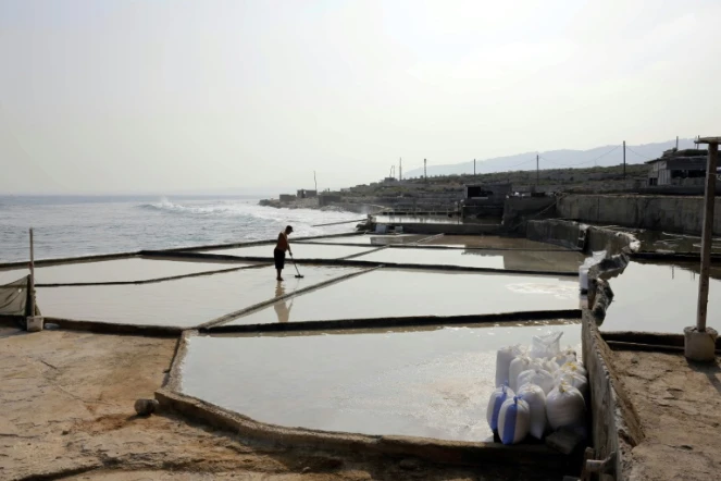 Des bassins d'évaporation de sel sur la côte libanaise à Anfé, le 21 juillet 2017