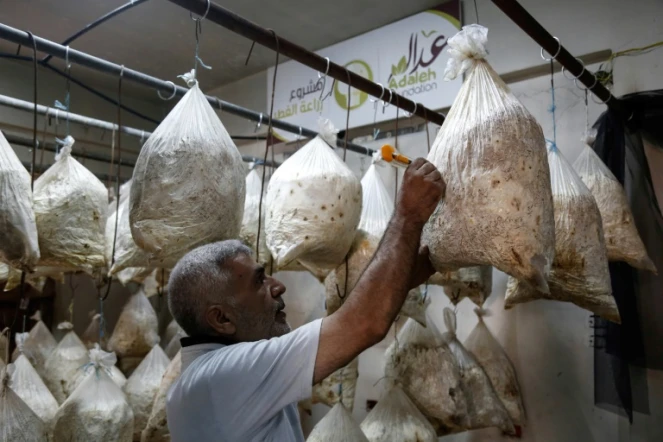 Un syrien, membre de la Fondation Adala, une ONG locale, cultive des champignons dans des sacs en plastique remplis de paille, dans la ville assiégée de Douma, à l'est de Damas, le 2 août 2017